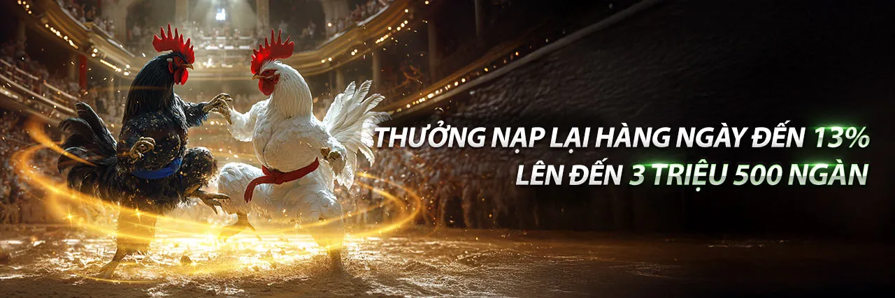 Hướng dẫn nhập môn yoo88 2026