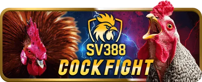 Ưu Đãi Nạp Tiền Đá Gà yoo88